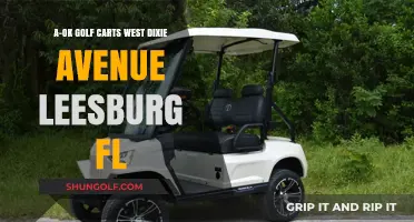 A-OK Golf Carts: Leesburg, FL's West Dixie Avenue Destination