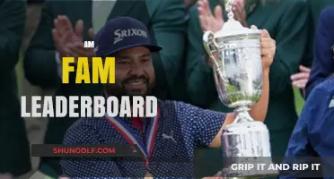 Am Fam Leaderboard: Tracking the Best of the Best