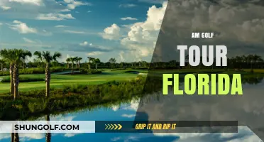 Golfing in Florida: The AM Tour Experience