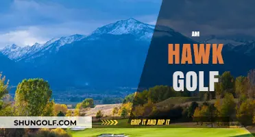 Golfing with Hawk: A Beginner's Journey