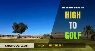 Is Golfing in 30 MPH Winds Safe or Senseless?