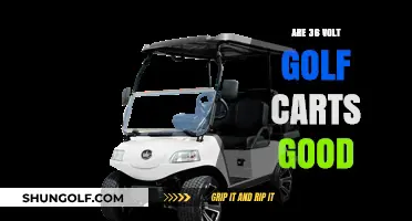 Are 36 Volt Golf Carts Reliable and Efficient for Your Needs?