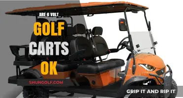 Are 6-Volt Golf Carts Reliable and Suitable for Your Needs?