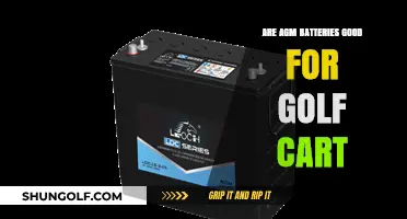 Are AGM Batteries the Best Choice for Golf Carts?
