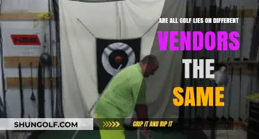 Are Golf Lies Consistent Across Different Vendors? A Comprehensive Analysis