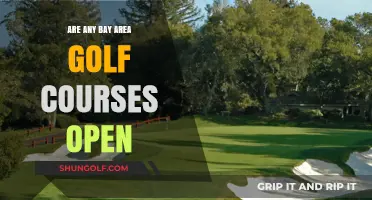 Bay Area Golf Courses: Which Ones Are Open for Play?