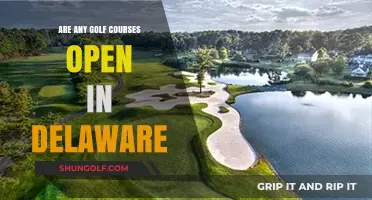 Delaware Golf Courses: Which Ones Are Open for Play?