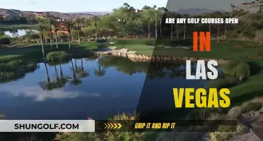Las Vegas Golf Courses: Which Ones Are Open for Play?