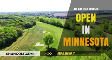 Minnesota Golf Courses: Which Ones Are Open for Play?