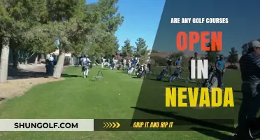 Nevada Golf Courses: Which Ones Are Open for Play?