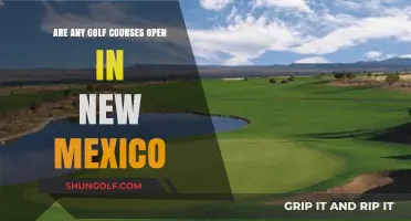 New Mexico Golf Courses: Which Ones Are Open for Play?
