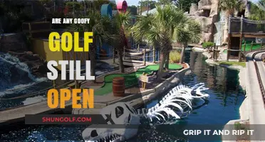 Are Goofy Golf Courses Still Open? Exploring Nostalgic Mini-Golf Spots