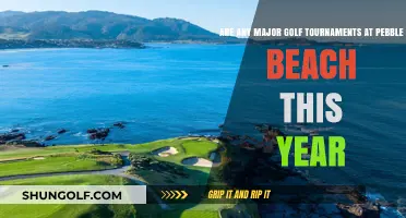 Teeing Off at Pebble Beach: A Look at This Year's Golf Tournaments