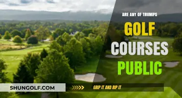 Are Trump's Golf Courses Public? Exploring Access and Ownership