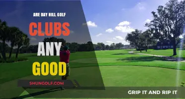 Bay Hill Golf Clubs Review: Are They Worth Your Investment?
