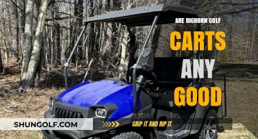 Bighorn Golf Carts Review: Performance, Durability, and Value Explored