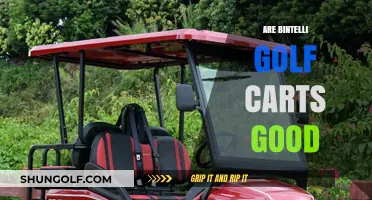 Bintelli Golf Carts Review: Performance, Durability, and Value Explored