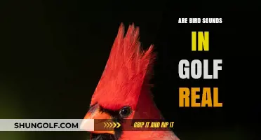 Golf Bird Sounds: Real or Fake?