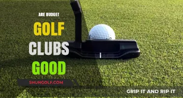 Budget Golf Clubs: Quality Performance Without Breaking the Bank?