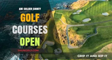 Are Collier County Golf Courses Open? Current Status and Updates