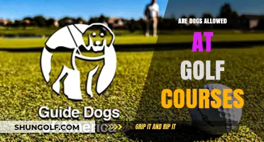 Can Dogs Join You on the Golf Course? Rules Explained