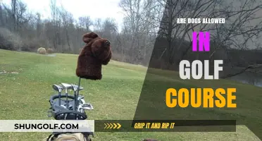 Can Dogs Join You on the Golf Course? Rules and Etiquette Explained