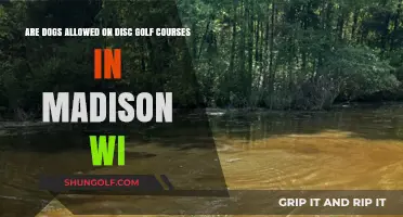 Can Dogs Join Disc Golf Fun in Madison, WI?