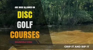 Canine Companions on the Course: Are Dogs Allowed in Disc Golf?