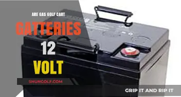 Are Gas Golf Cart Batteries 12 Volt? Unraveling the Power Source