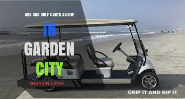 Are Gas Golf Carts Allowed in Garden City? Rules Explained