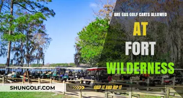 Are Gas Golf Carts Allowed at Fort Wilderness? Find Out Here