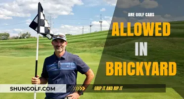 Golf Carts at Brickyard: What's the Deal?
