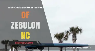 Golf Carts in Zebulon, NC: Are They Street Legal?