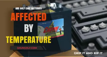 How Temperature Impacts Golf Cart Battery Performance and Longevity