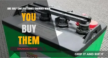 Do New Golf Cart Batteries Come Fully Charged?