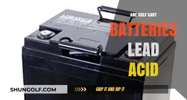 Are Golf Cart Batteries Lead Acid? Exploring the Power Source
