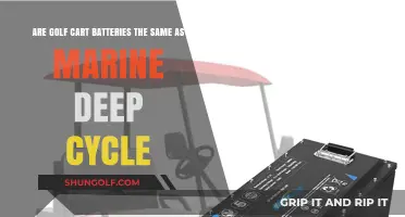 Golf Cart vs. Marine Deep Cycle Batteries: Are They Interchangeable?