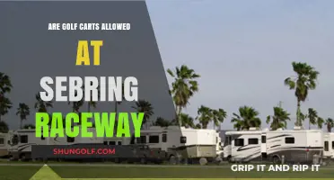 Golf Carts at Sebring Raceway: Rules, Regulations, and Accessibility