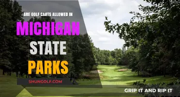 Golf Carts in Michigan State Parks: Rules and Regulations Explained