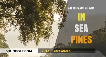 Golf Carts in Sea Pines: Rules, Regulations, and What You Need to Know