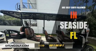 Golf Carts in Seaside, FL: Rules, Regulations, and Permitted Areas