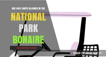 Exploring Bonaire National Park: Golf Cart Regulations and Accessibility