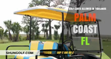 Golf Carts in Tidelands Palm Coast FL: Rules and Regulations