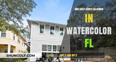 Golf Carts in WaterColor, FL: Rules, Regulations, and Permitted Areas