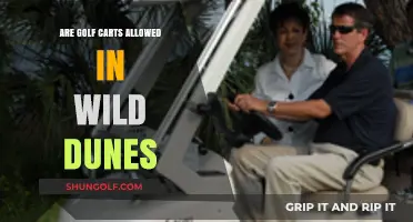 Golf Carts in Wild Dunes: Rules, Regulations, and What You Need to Know