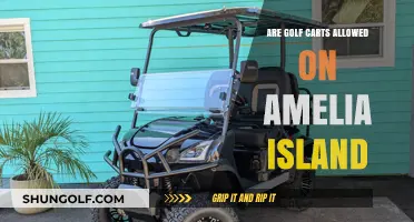 Golf Carts on Amelia Island: Rules, Regulations, and Where to Ride
