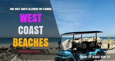 Golf Carts on Florida's West Coast Beaches: Rules and Regulations