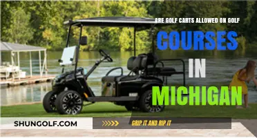 Golf Carts on Michigan Courses: Rules and Regulations Explained