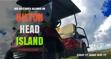Golf Carts on Hilton Head Island: Rules, Regulations, and Where to Ride