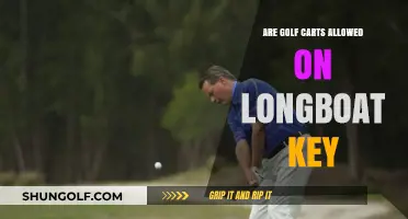 Golf Carts on Longboat Key: Rules, Regulations, and Permitted Areas
